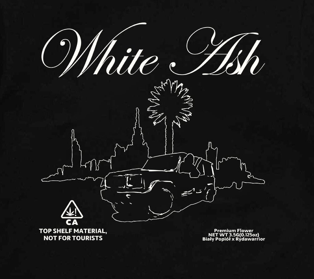 ZESTAW MŁODEGO INŻYNIERA